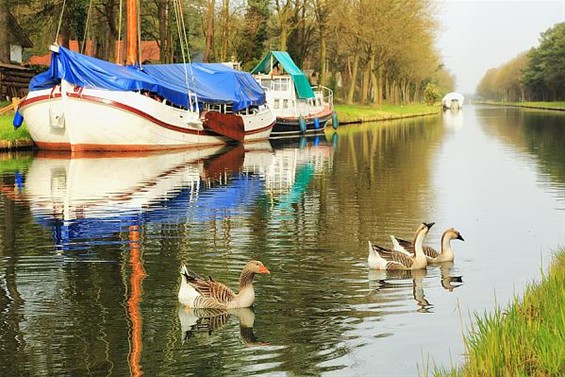 Ondertussen, op het kanaal van Beverlo... - Lommel