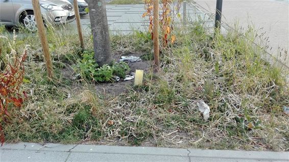 Ondertussen, op het Regenboogplein... - Neerpelt