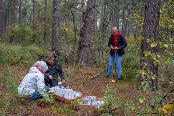 Onderzoek naar microplastics in bodemleven - Pelt