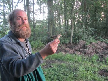 Onderzoek naar waterrietzanger in de Overslag - Beringen