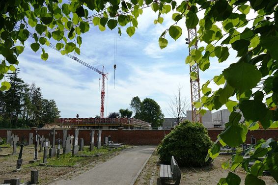 Onkruid groeit ook op het kerkhof - Pelt