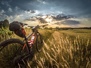 Online een fiets kopen: waarop moet je letten? - Lommel