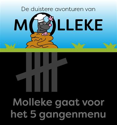 Ons 'Molleke' (10) - Lommel