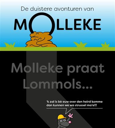 Ons 'Molleke' (13) - Lommel