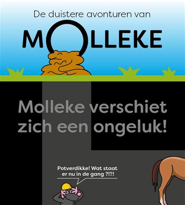 Ons Molleke (26) - Lommel