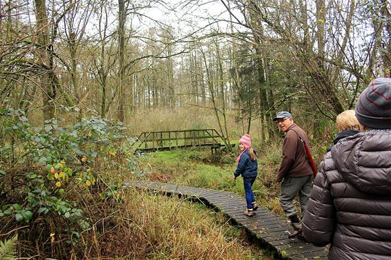 Ontbijtwandeling in teken van gezond bewegen - Overpelt