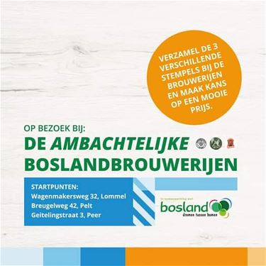 Ontdek de ambachtelijke brouwerijen in Bosland