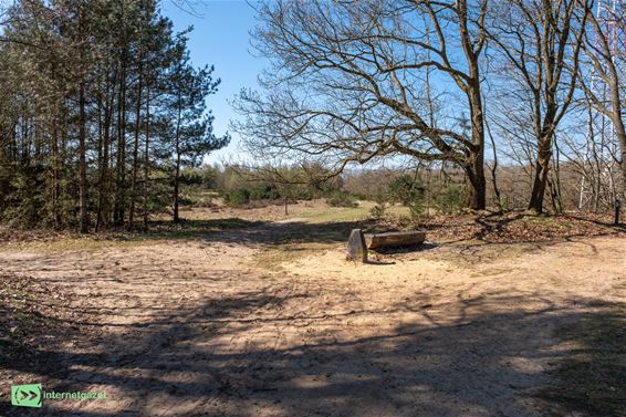 Oudsbergen - Ontdek de Duinengordel met de Rangers
