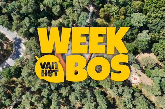 Ontdek zondag de wereld onder je voeten - Lommel