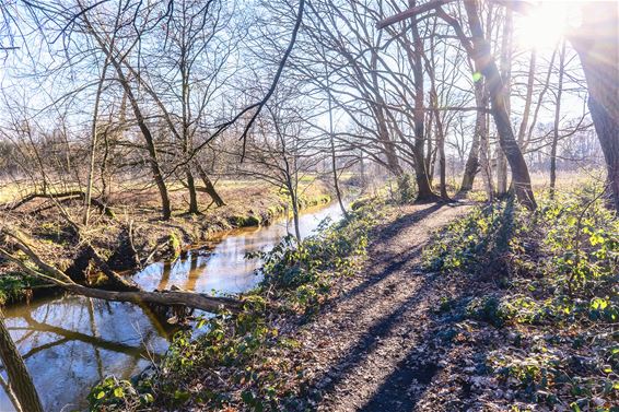 Onttrekkingsverbod voor waterlopen - Hechtel-Eksel