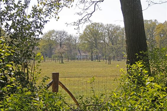 Ontwerp-beheersplan voor het Hobos - Pelt