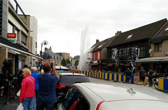 Onverwacht spektakel in centrum - Lommel