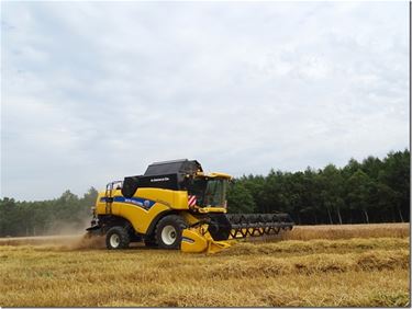 Onweer op komst: snel dorsen - Meeuwen-Gruitrode