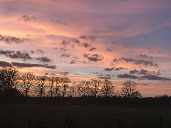 Onze mooie Lommelse natuur - Lommel