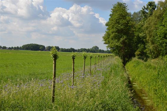 Onze prachtige Wateringen - Lommel