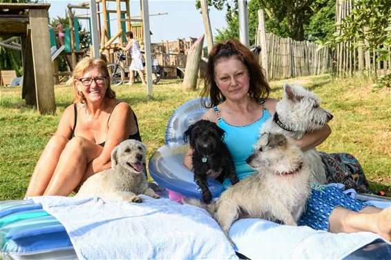 Ook dieren puffen onder de hitte - Beringen