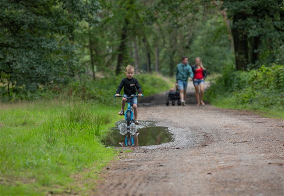 Ook dit is vakantie, dezer dagen... - Pelt