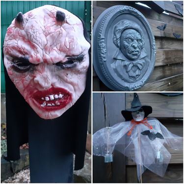 Ook gek van Halloween? - Beringen