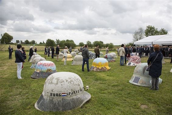 Ook Neerpeltse Stahlhelm in helmenpark - Neerpelt