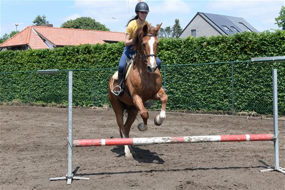 Ook paarden genieten terug van een ritje - Beringen