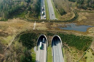 Ook Pelt krijgt een ecoduct - Pelt