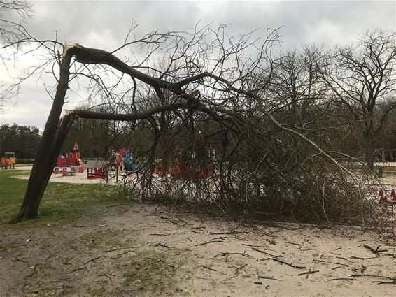 Ook schade bij de Scoutsrally - Neerpelt