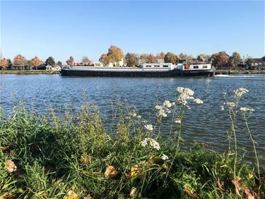 Ook teveel PFOS in Albertkanaal - Beringen