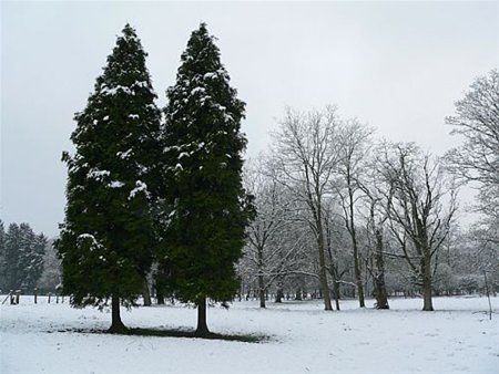 Ook vannacht nog sneeuw - Overpelt