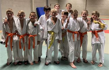 Ook voor de judoclub lonkt de vakantie - Hechtel-Eksel