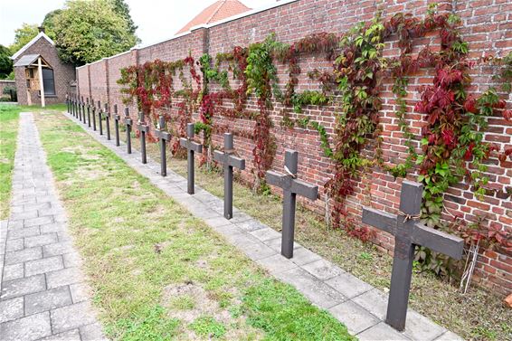 Oorlogsgraven - Beringen
