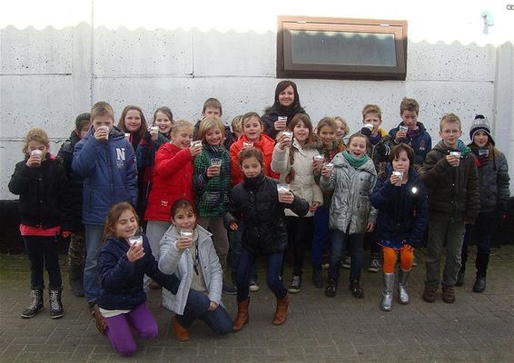 Op bezoek bij boer Kwanten - Neerpelt