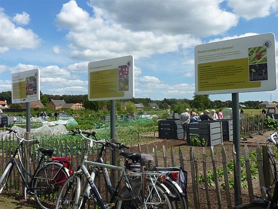 Op bezoek bij de volkstuintjes - Neerpelt