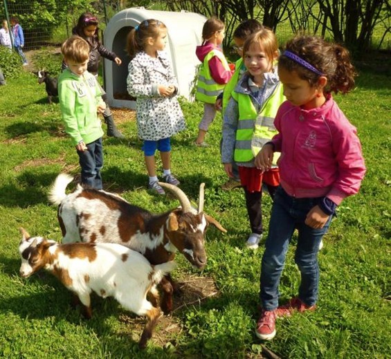 Op bezoek bij het Broekxhof - Hechtel-Eksel