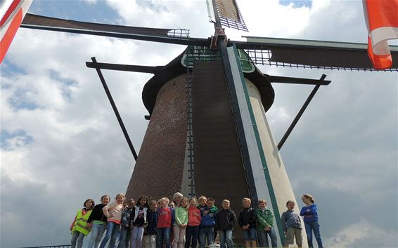 Op bezoek in de Lilse Meulen - Neerpelt