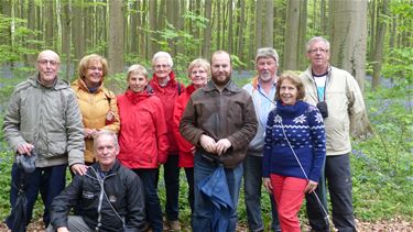 Op bezoek in het Hallerbos - Beringen