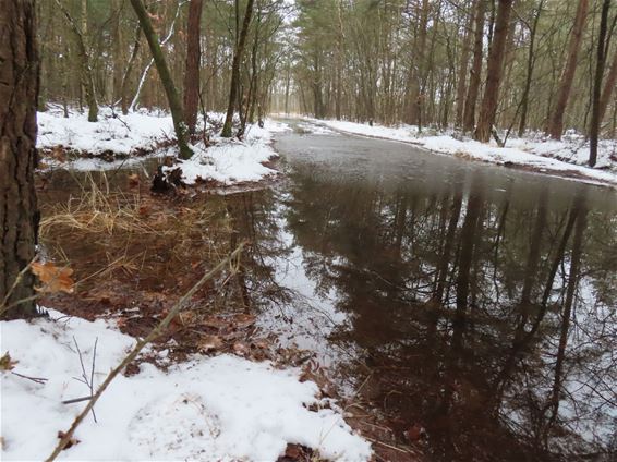 Hamont-Achel - Op blote voeten?