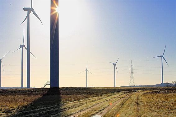 Laat het maar waaien op de Balendijk - Lommel