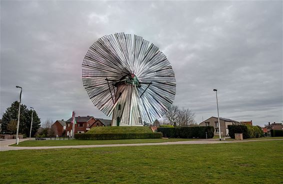 Op de heide waait de wind... - Pelt