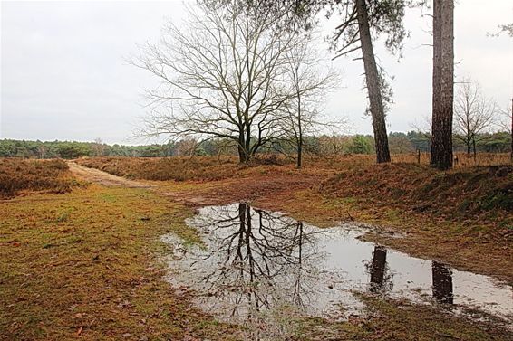 Op de Heuvelse Heide - Lommel