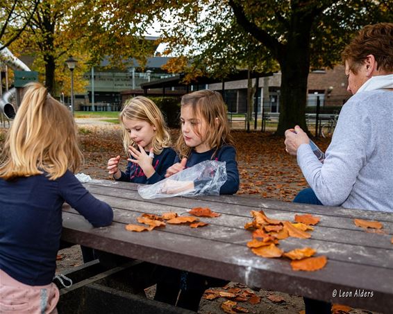 Op een benkske - maar telkens een ander - Pelt