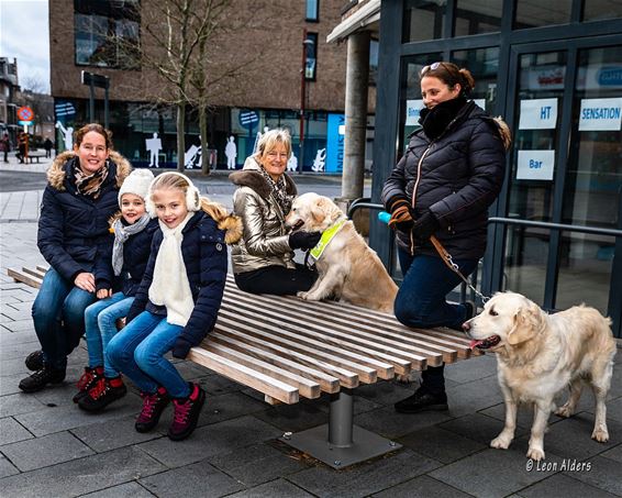 Op een benkske, met de hond - Pelt