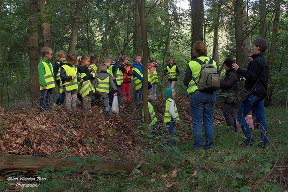 Op een grote paddenstoel,... - Hamont-Achel