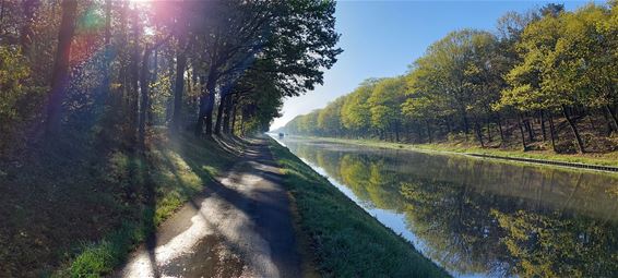 Op een koude donderdagochtend langs het kanaal... - Lommel