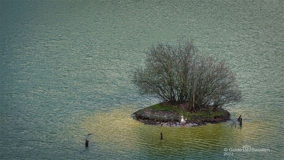 Op een onbewoond eiland... - Lommel