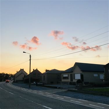 Op een roze wolk... - Beringen