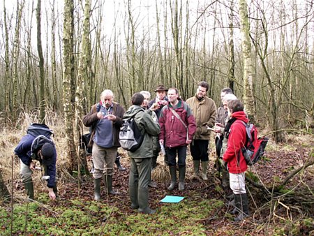 Op het mos in het bos liet hij zijn vos los - Overpelt