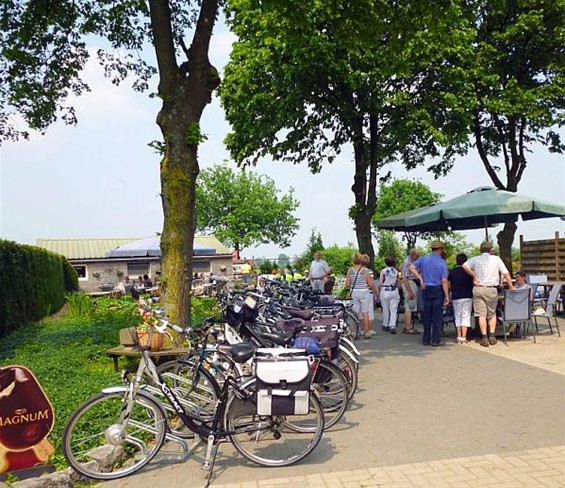 Op het terras voor koffie en vlaai - Meeuwen-Gruitrode