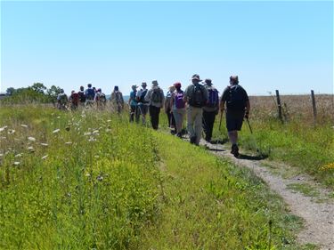 Op pelgrimstocht naar Eversel - Beringen