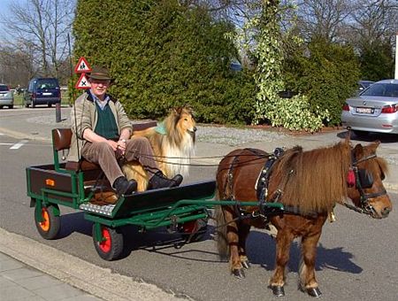 Op stap in de lente - Overpelt
