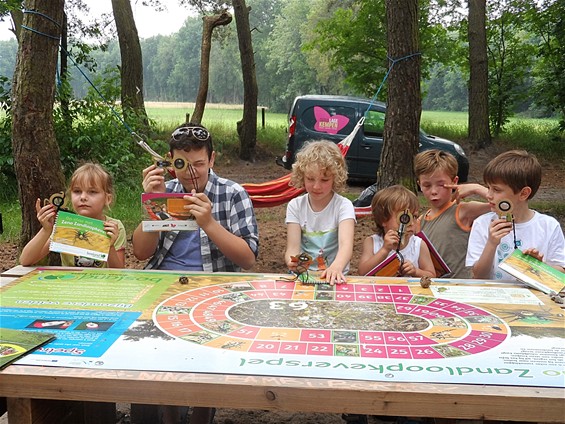 Op stap met Zeno Zandloopkever - Lommel